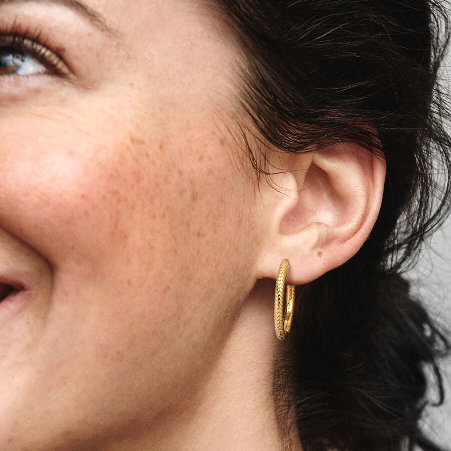 Charm Hoop Shine Earrings