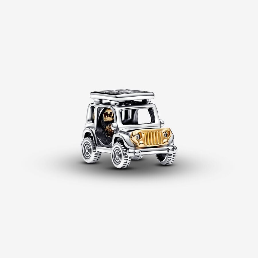 Two-tone Adventure Car