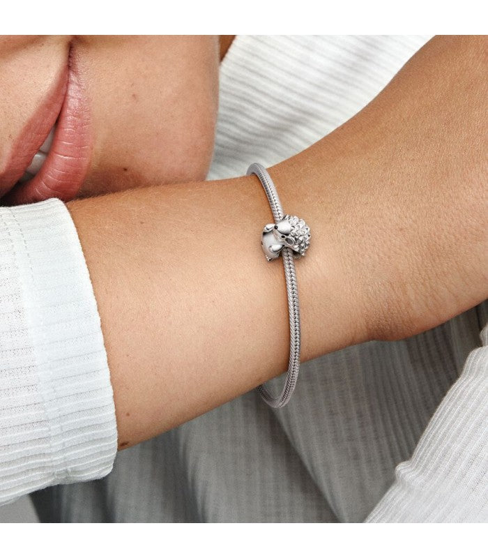 Nino the Hedgehog Charm